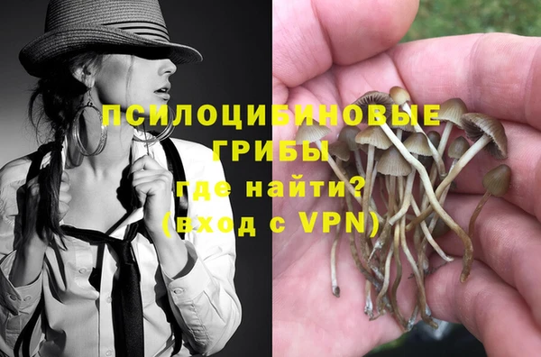 ALPHA-PVP Алексеевка