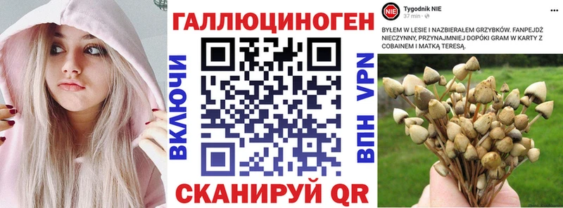 Галлюциногенные грибы GOLDEN TEACHER  цены наркотик  Калтан 